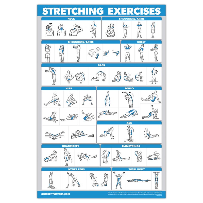 Palace Learning QuickFit 2 Pack - Stretching Exercise Poster - Laminated 18" x 24" & Bodyweight Exercise Playing Cards - 2.5" x 3.5" - Image 2